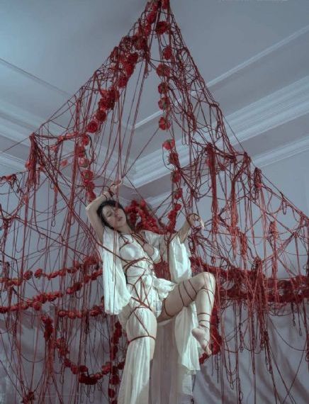 欧美人的生活方式_免费追剧在线观看