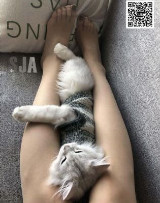 欧美人曽交在线看网址_720免费观看
